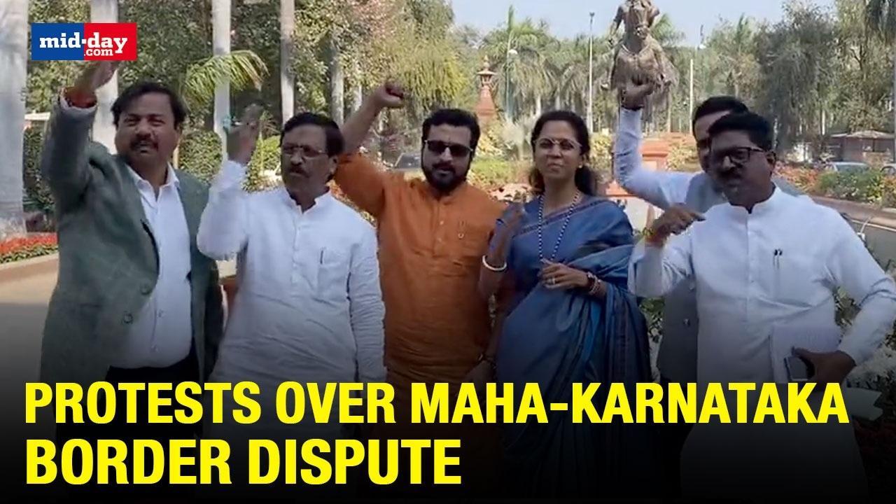 Surpiya Sule, Arwind Sawant Protest Outside Parliament Over Maha-Karnataka